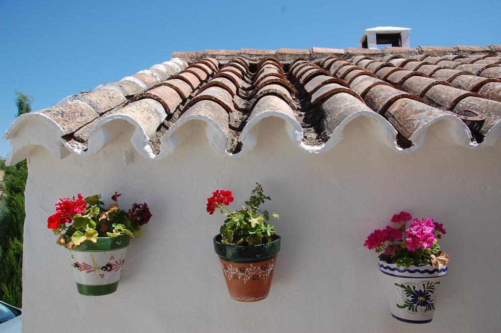 Setenil De Las Bodegas La Escuela Del Campo B&B 외부 사진